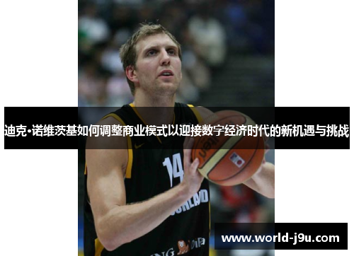 迪克·诺维茨基如何调整商业模式以迎接数字经济时代的新机遇与挑战