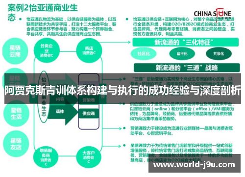 阿贾克斯青训体系构建与执行的成功经验与深度剖析