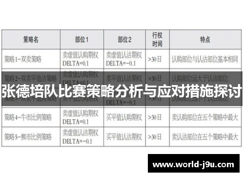 张德培队比赛策略分析与应对措施探讨