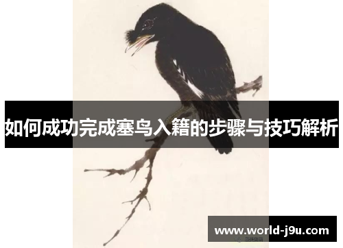 如何成功完成塞鸟入籍的步骤与技巧解析