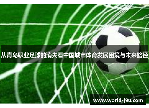 从青岛职业足球的消失看中国城市体育发展困境与未来路径