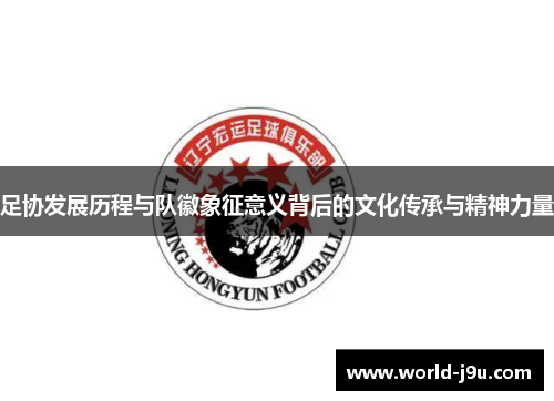 足协发展历程与队徽象征意义背后的文化传承与精神力量